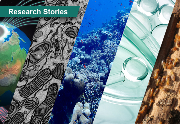 Research Stories